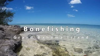 Fly Fishing for Bonefish on Grand Bahama with H20 Bonefishing Bahamas