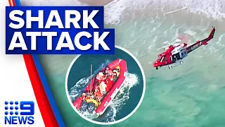 Man believed to have been killed in shark attack in SA | 9 News Australia