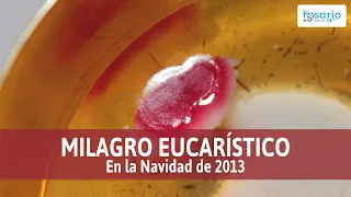 Un increíble milagro eucarístico en la Navidad de 2013