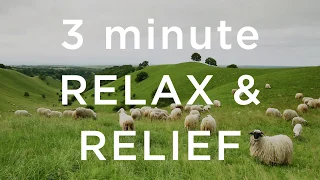 3 Minute Relax and Relief