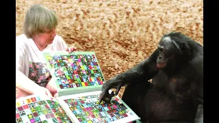 We Are Great Apes (Great Ape Intelligence)
