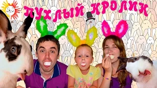 Челлендж Пухлый кролик // Chubby Bunny Challenge Вызов принят