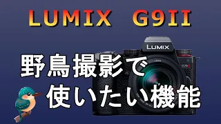 LUMIX G9II 野鳥撮影で使いたい機能：高速連写で決定的瞬間を撮りたい