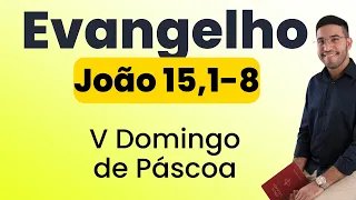 Evangelho | João 15,1-8 | 5º Domingo da Páscoa | 28/04/2024