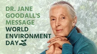 Dr. Jane Goodall's Message for World Environment Day 2022