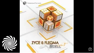 Zyce & Flegma - Snapshot