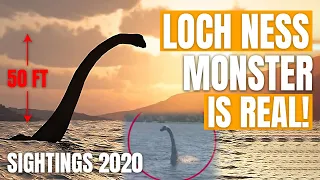 The Lochness Monster Is Real! | New Sightings Explained!