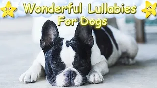 Relaxing Sleep Music For Dogs And Puppies ♫ Calm Your Dog Effectively ♥ Lullaby For Dogs