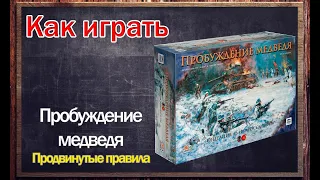 Как играть - Пробуждение медведя: продвинутые правила