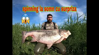 SPINNING LA SOMN CU SURPRIZA PESTE URIAS