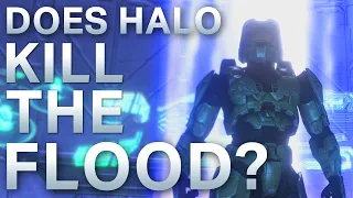 Does Halo Kill The Flood?