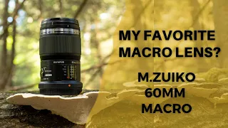 My favorite macro lens? M.Zuiko 60mm macro