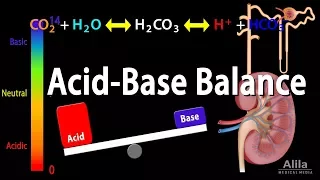 Acid Base Balance, Animation.