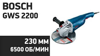 УШМ Bosch GWS 2200