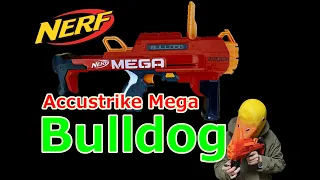 【NERF】メガ ブルドックの紹介【MY NERF COLLECTION】#26 Accustrike Mega Bulldog