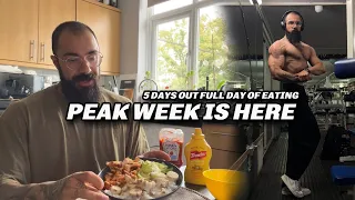 PEAK WEEK IS HERE - 5 DAYS OUT PUSH DAY & FULL DAY OF EATING