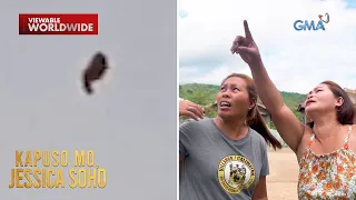 Flying fish for real?! | Kapuso Mo, Jessica Soho