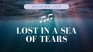 Walking Low - Lost in a Sea of Tears - (Acoustic Guitar)