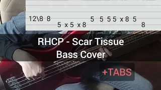 Red Hot Chili Peppers - Scar Tissue (Bass Cover) + TABS