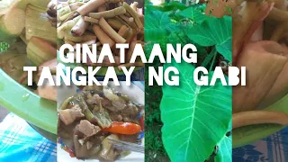 Ginataang Tangkay ng Gabi.#Laing # tipidtips# healthyulam