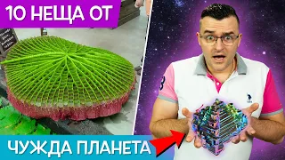 10 НЕЩА, които ИЗГЛЕЖДАТ като от ДРУГА ПЛАНЕТА