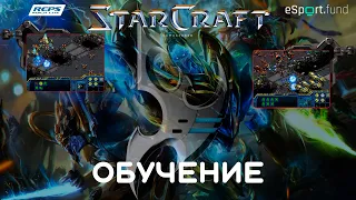 StarCraft: Remastered - Обучение протоссов. Урок 1. Разбираем стандартный билд (+1air, +1ground).