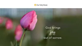 Sorrow and Joy | Audio Reading | Our Daily Bread Devotional | May 31, 2023