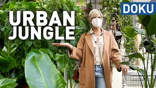 Urban Jungle - Der Hype um Zimmerpflanzen | dokus und reportagen