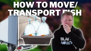 How to Transport Fish Safely - What to Do When Moving House / Moving a Fishroom