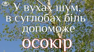 У вухах шум, в суглобах біль  - допоможе ОСОКІР