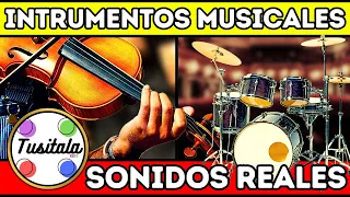 Intrumentos Musicales | Aprende los instrumentos de música y escucha sus sonidos