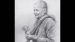 Thiền sư Ajahn Chah (Chỉ Là Một Cội Cây )