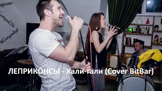 ЛЕПРИКОНСЫ - Хали-гали (Cover BitBar)