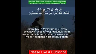 Коран Сура Юнус | 10:58  | Чтение Корана с русским переводом| Quran Translation in Russian