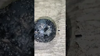 is this a real meteorite?