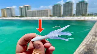 FISHING with a JIG! for my DINNER on this FLORIDA PIER [Catch, Clean, Cook]