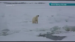 Альтернативные источники энергии на ЗФИ