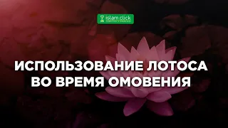 Использование лотоса (сидра) во время омовения | Абу Яхья Крымский