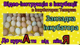 Закладка інкубаційного яйця в інкубатор Теплуша. Віде-інструкція з інкубації Частина2