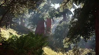 Far Cry Primal Peaceful Forest Ambience for Study and Relaxation