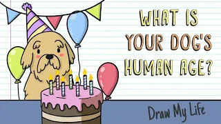 WHAT IS YOUR DOG'S HUMAN AGE? | Draw My Life