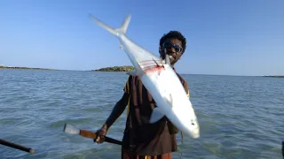 FISHING THE WILD - NORTHERN TERRITORY - The New Series 2 Trailer.