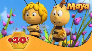 La Abeja Maya 🐝 🕒 +30' EPISODIOS COMPLETOS 🐝