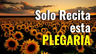 Solo RECITA esta PLEGARIA SECRETA y tu Prosperidad Aumentará! (Abundancia con Ho´oponopono)