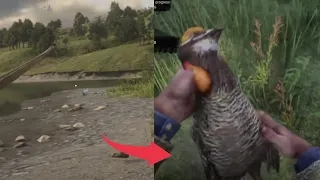 RDR2 - Bird Hunting Guide : How To Kill Bird Spawn Method - Red Dead Redemption 2