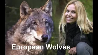 EUROPEAN WOLVES...UP CLOSE