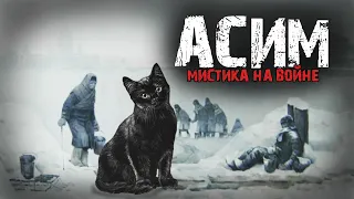 Мистика на войне - Асим - Мистические истории из жизни.