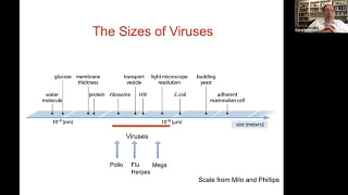 Лекция о вирусах ВИЧ и коронавирусах от нобелевского лауреата по вирусологии Дэвида Балтимора