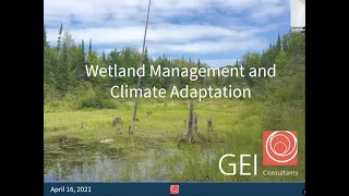 TSN x EGLE present: Wetland Management and Climate Adaptation