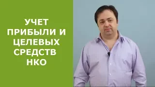 Учет прибыли и целевых средств нко